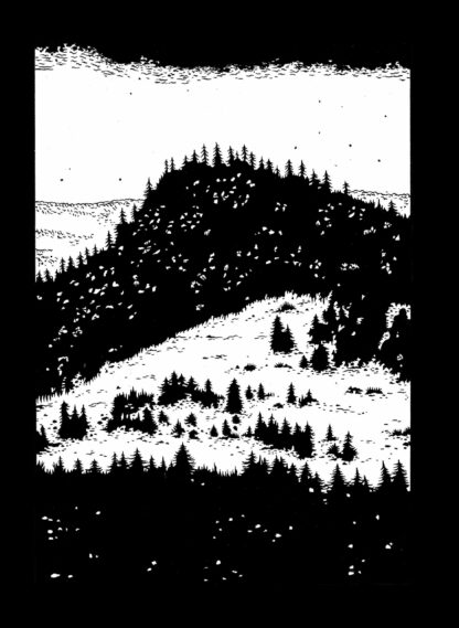 O CORVO - Edgar Allan Poe - Image 2