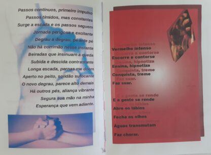 Poemas Diários - fanzine - Image 5