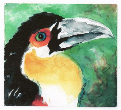 Tucano - print