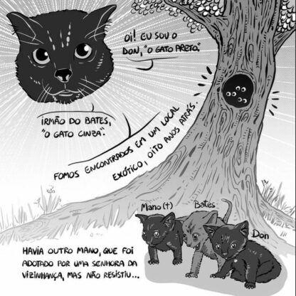 Relatos da Quarentena - Image 6