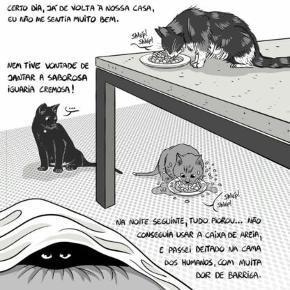 Relatos da Quarentena - Image 7