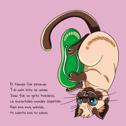 El Gato Juan, de Junior Misaki - Image 3