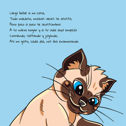 El Gato Juan, de Junior Misaki - Image 4